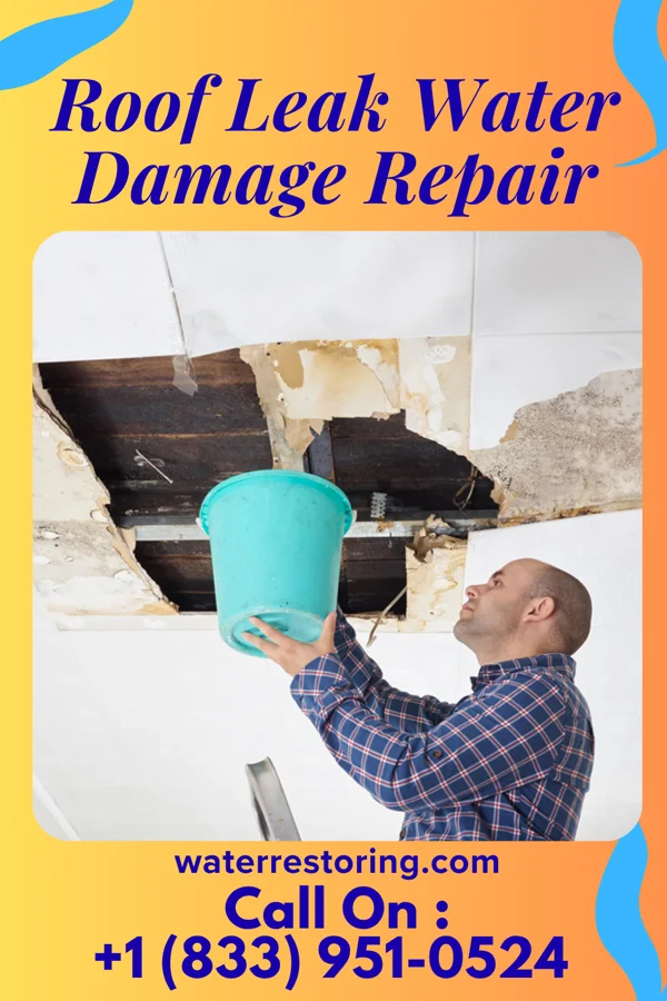Roof Leak Water Damage Repair in Ramona, KS